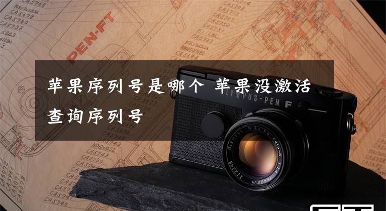 苹果序列号是哪个 苹果没激活查询序列号