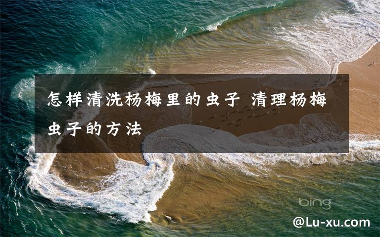 怎样清洗杨梅里的虫子 清理杨梅虫子的方法
