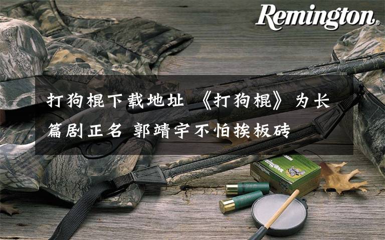 打狗棍下载地址 《打狗棍》为长篇剧正名 郭靖宇不怕挨板砖