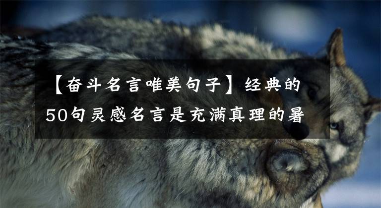 【奋斗名言唯美句子】经典的50句灵感名言是充满真理的暑假累积篇。