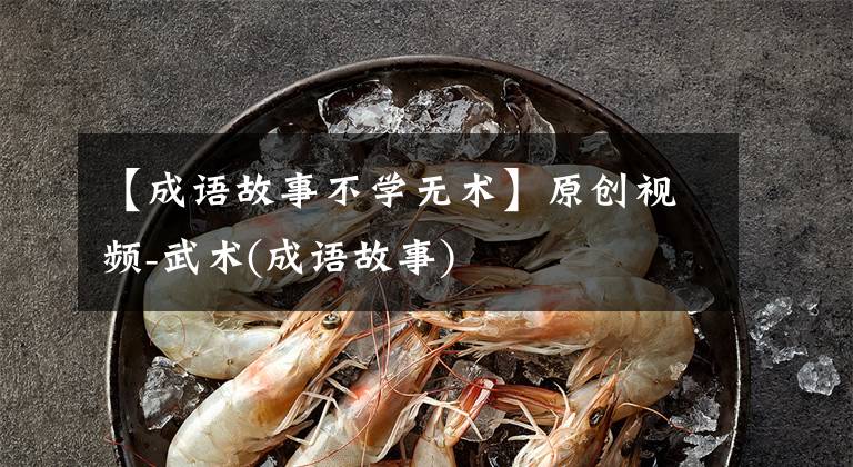 【成语故事不学无术】原创视频-武术(成语故事)