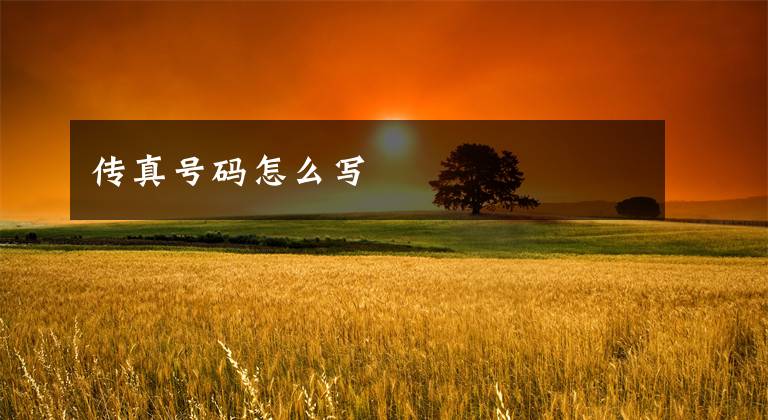 传真号码怎么写