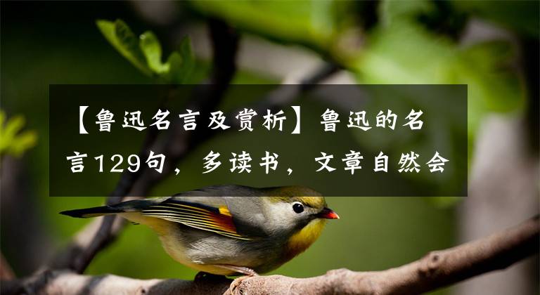 【鲁迅名言及赏析】鲁迅的名言129句，多读书，文章自然会写出来