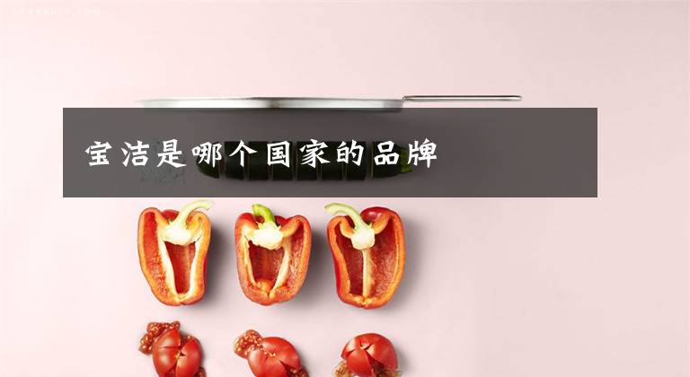 宝洁是哪个国家的品牌