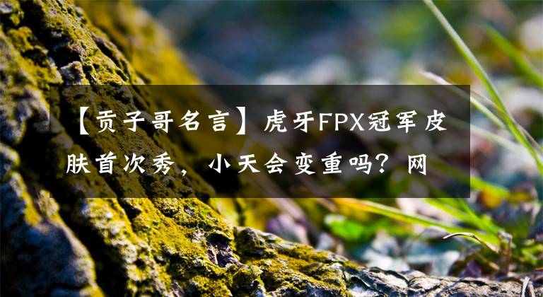 【贡子哥名言】虎牙FPX冠军皮肤首次秀,小天会变重吗?网民:能活到现在真是奇迹