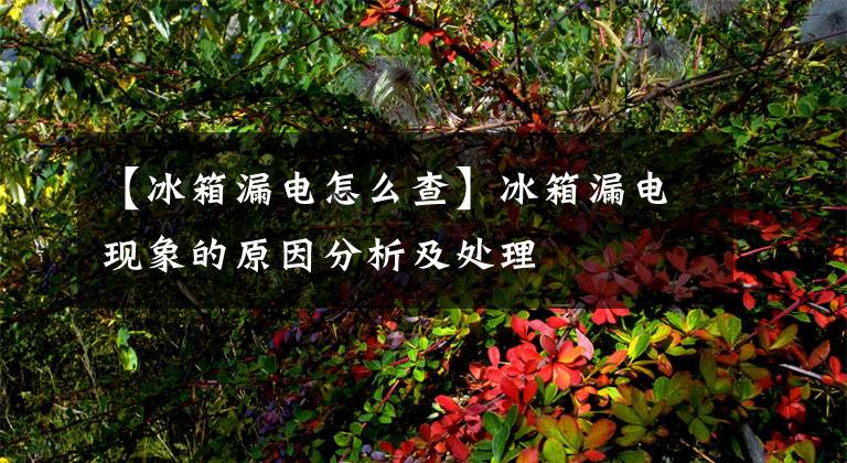 【冰箱漏电怎么查】冰箱漏电现象的原因分析及处理