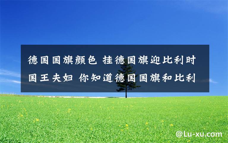 德国国旗颜色 挂德国旗迎比利时国王夫妇 你知道德国国旗和比利时国旗的区别吗