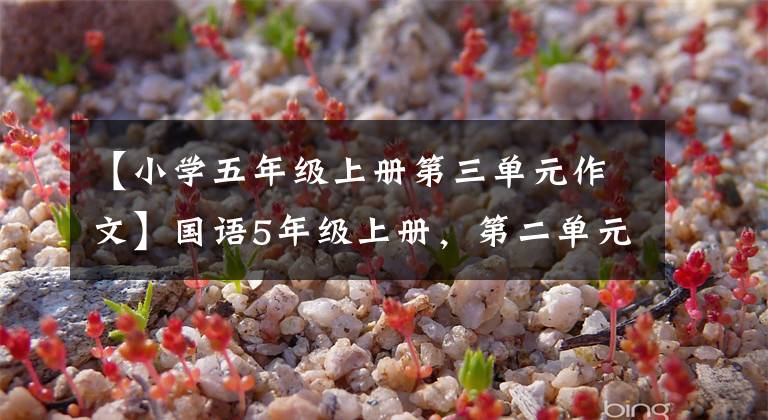 【小学五年级上册第三单元作文】国语5年级上册,第二单元学检查权,单元练习