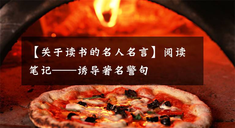 【关于读书的名人名言】阅读笔记——诱导著名警句