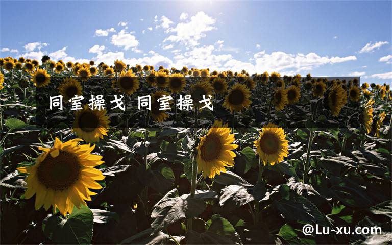 同室操戈 同室操戈