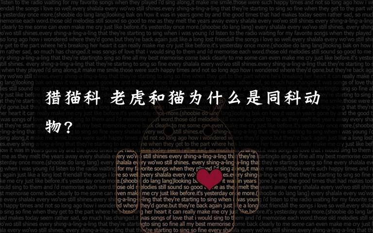 猎猫科 老虎和猫为什么是同科动物?