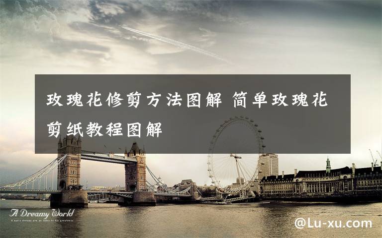 玫瑰花修剪方法图解 简单玫瑰花剪纸教程图解