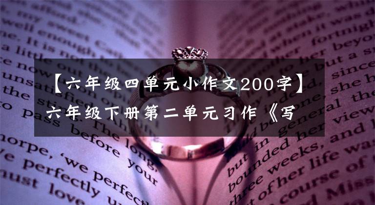 【六年级四单元小作文200字】六年级下册第二单元习作《写作品梗概》优秀范文《毛毛》故事梗概