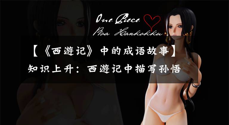 【《西游记》中的成语故事】知识上升:西游记中描写孙悟空的成语故事