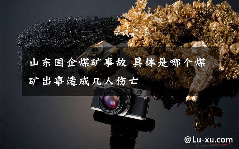 山东国企煤矿事故 具体是哪个煤矿出事造成几人伤亡