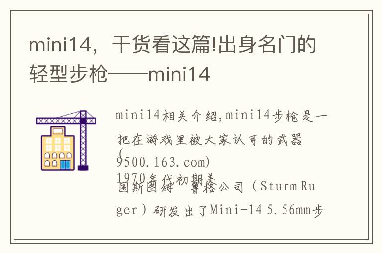 mini14,干货看这篇!出身名门的轻型步枪——mini14
