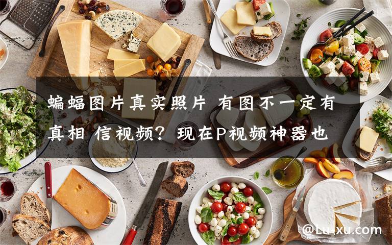 蝙蝠图片真实照片 有图不一定有真相 信视频?现在P视频神器也来了