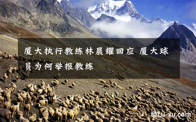 厦大执行教练林晨耀回应 厦大球员为何举报教练