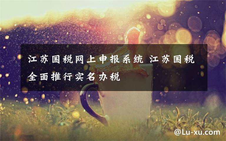 江苏国税网上申报系统 江苏国税全面推行实名办税