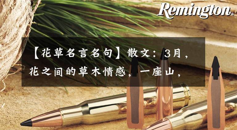 【花草名言名句】散文:3月,花之间的草木情感,一座山,一水,一万,绿色,一棵树,一朵花。