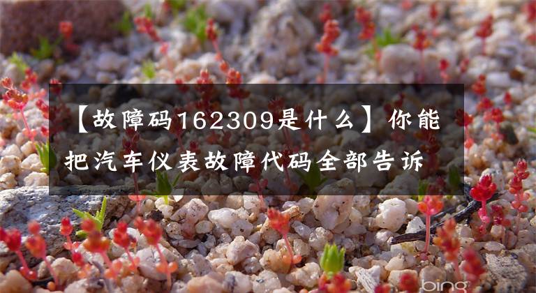 【故障码162309是什么】你能把汽车仪表故障代码全部告诉我吗？未知的回复序列号