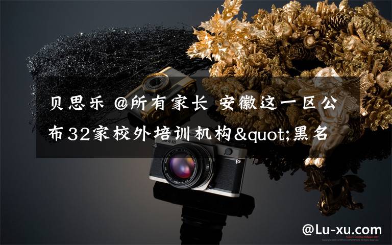 贝思乐 @所有家长 安徽这一区公布32家校外培训机构"黑名单" 你家娃在上吗?