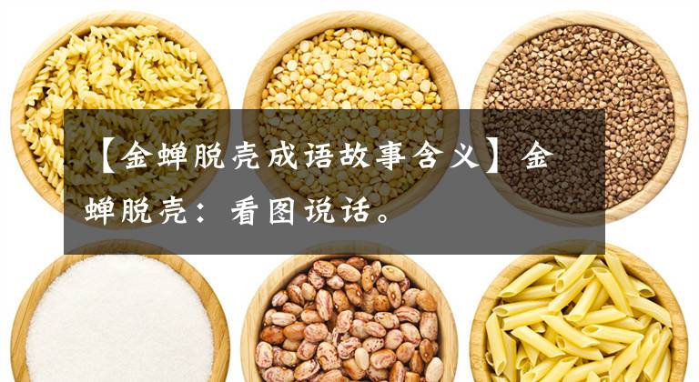 【金蝉脱壳成语故事含义】金蝉脱壳:看图说话。