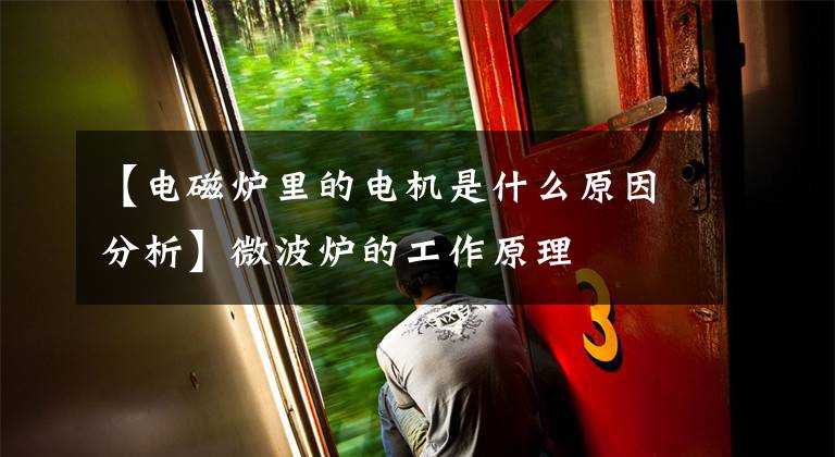 【电磁炉里的电机是什么原因分析】微波炉的工作原理