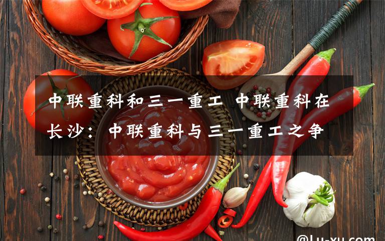 中联重科和三一重工 中联重科在长沙：中联重科与三一重工之争