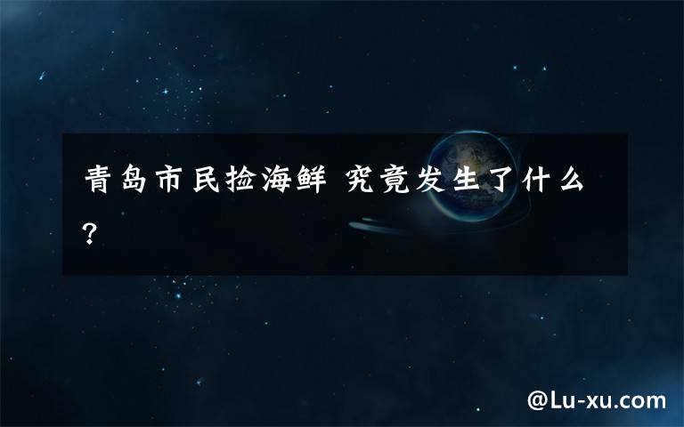青岛市民捡海鲜 究竟发生了什么?