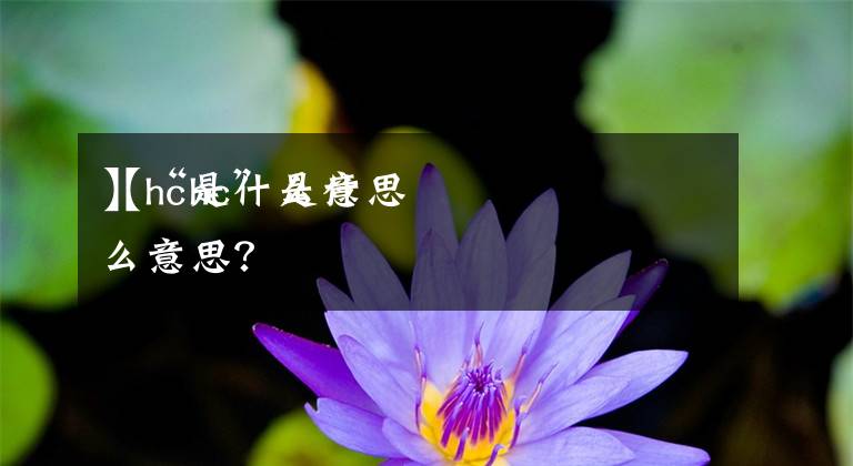 【hc是什么意思】“hc”是什么意思?