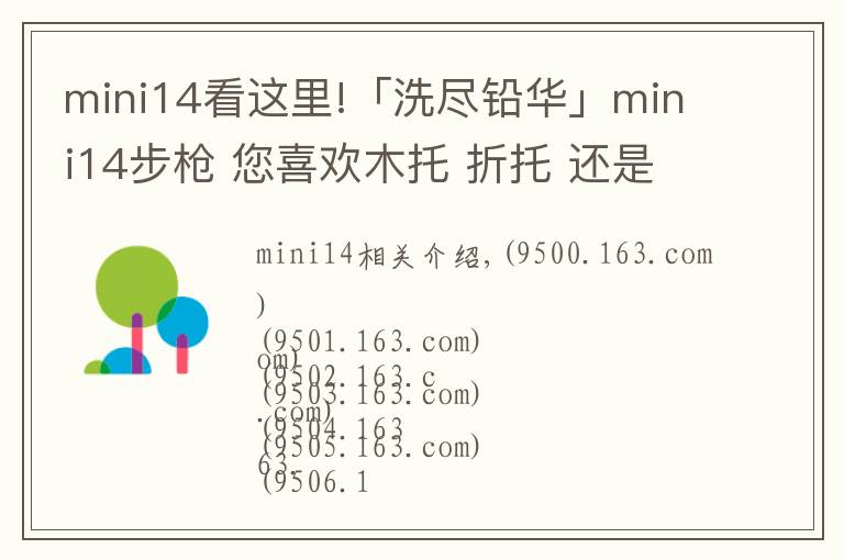 mini14看这里!「洗尽铅华」mini14步枪 您喜欢木托 折托 还是改造版