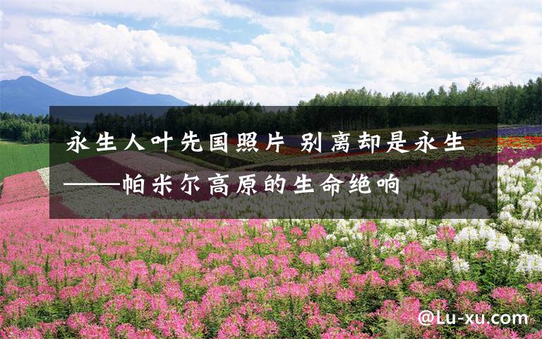 永生人叶先国照片 别离却是永生——帕米尔高原的生命绝响