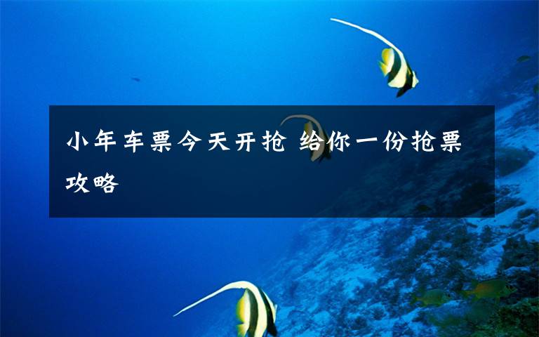 小年车票今天开抢 给你一份抢票攻略