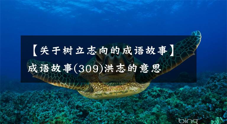 【关于树立志向的成语故事】成语故事(309)洪志的意思