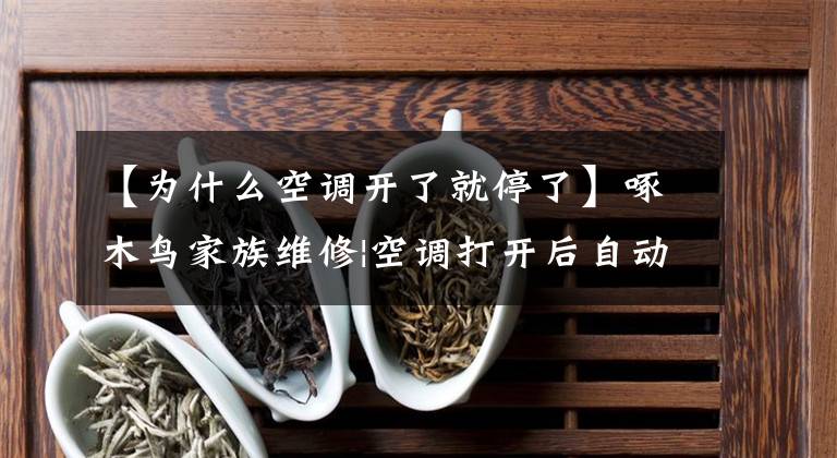 【为什么空调开了就停了】啄木鸟家族维修|空调打开后自动停止了。怎么回事?