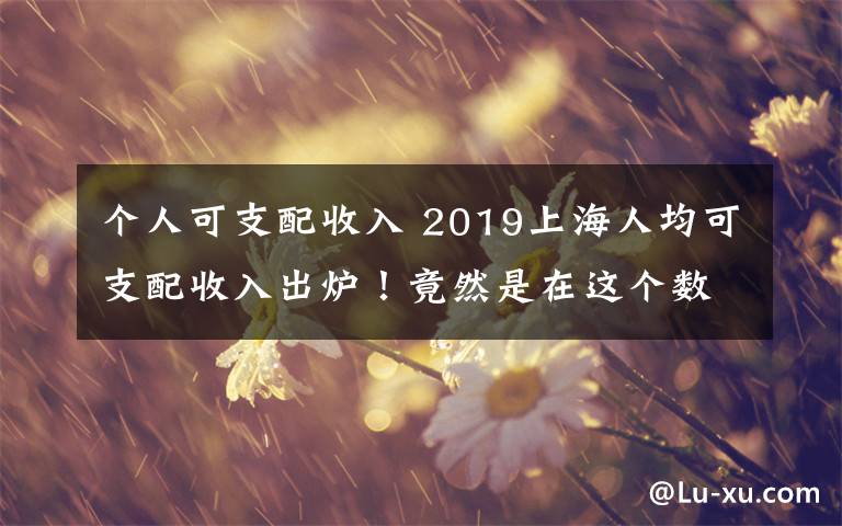 个人可支配收入 2019上海人均可支配收入出炉!竟然是在这个数……