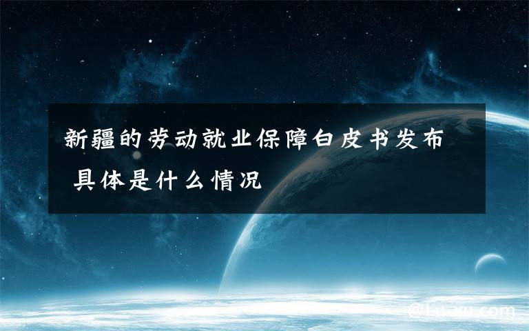 新疆的劳动就业保障白皮书发布 具体是什么情况