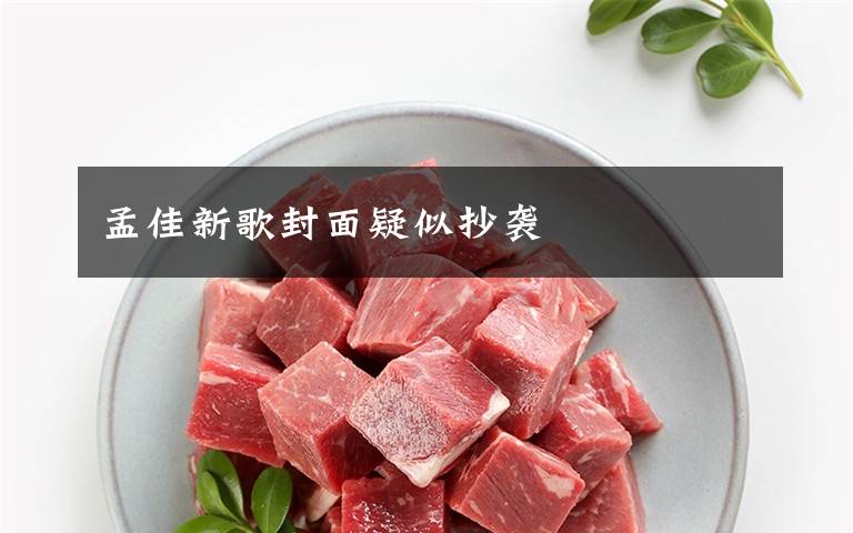 孟佳新歌封面疑似抄袭