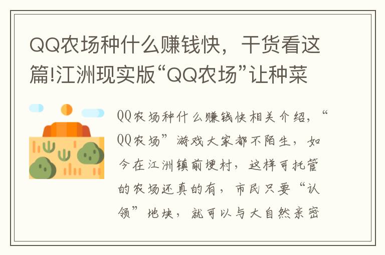 QQ农场种什么赚钱快,干货看这篇!江洲现实版“QQ农场”让种菜成为乐趣 ,想当“都市农夫” 不妨去看看!