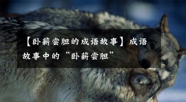 【卧薪尝胆的成语故事】成语故事中的“卧薪尝胆”