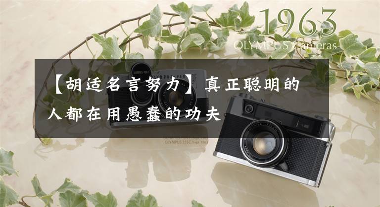 【胡适名言努力】真正聪明的人都在用愚蠢的功夫