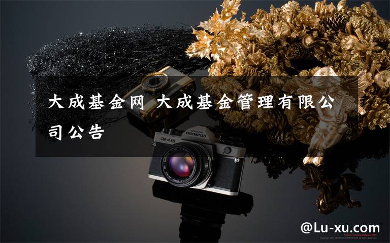 大成基金网 大成基金管理有限公司公告