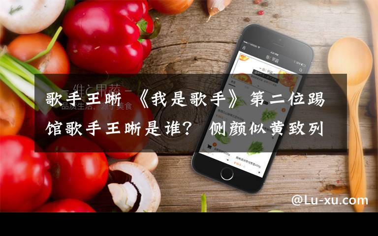 歌手王晰 《我是歌手》第二位踢馆歌手王晰是谁? 侧颜似黄致列