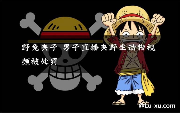 野兔夹子 男子直播夹野生动物视频被处罚