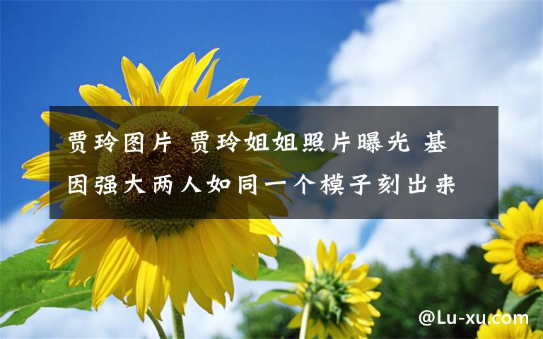 贾玲图片 贾玲姐姐照片曝光 基因强大两人如同一个模子刻出来的!