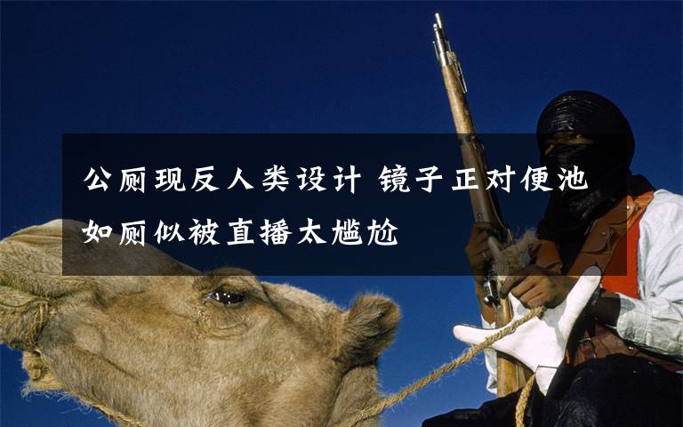 公厕现反人类设计 镜子正对便池如厕似被直播太尴尬