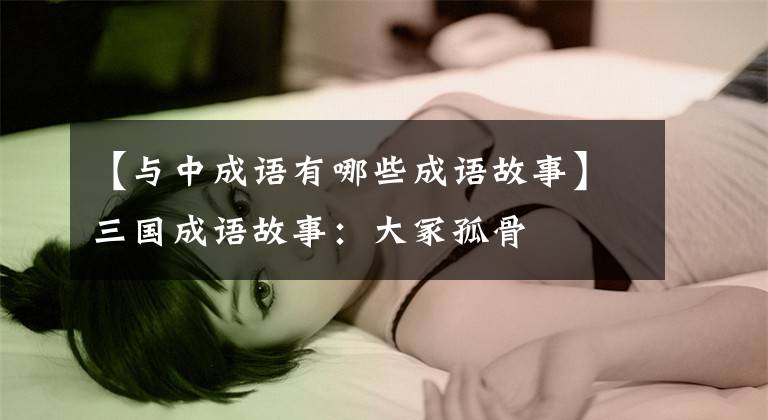 【与中成语有哪些成语故事】三国成语故事:大冢孤骨