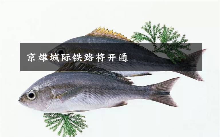 京雄城际铁路将开通