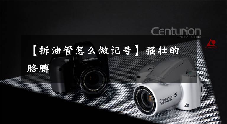 【拆油管怎么做记号】强壮的胳膊